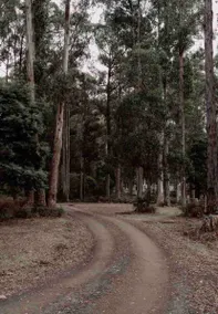 Relax and unwind at Three Paddocks and a Hill - Image 5