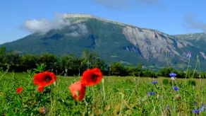 Peaceful mountain retreat - Image 5