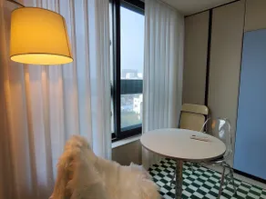 A503 [morden5] Cozy accommodation in Jungangno Station 1 minute ° Dongseongro ° Gyeongdong - Image 3