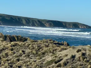 Jewel by the Sea - Image 5