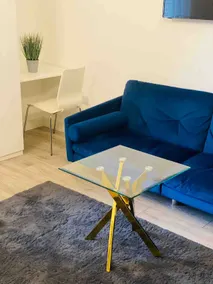 Spacious Luxury Studio (AR5) - Image 3