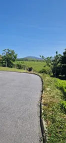 Entire 3 bedroom house nestled in the blackstairs - Image 4