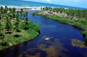 Paradise on the sand of Espera Beach, Itacimirim - Image 2