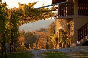 Vineyard Cottage Brodaric - Image 3