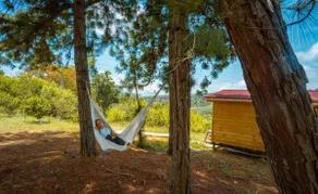 Romantic cabin - Image 2