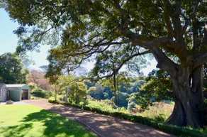 Kiama's Secret Ocean-view Cottage - Image 4