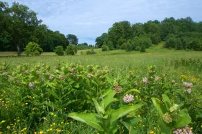 South Country Lodge - Upper Peninsula of Michigan - Image 2