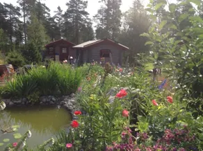 20 min to Umeå 6-7 guests, sea, lake, forest and golf - Image 5