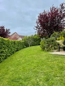 Cottage Les Palmiers - Image 5