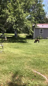 The Moose Lake House. Hiking & sled trails nearby! - Image 3