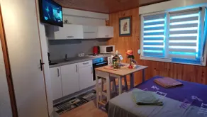 Charming furnished studio with bathroom and toilet - Image 3