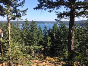 Orcas Island Cabin on the bluff - Image 3
