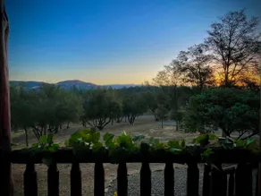 Circle of the Oaks Retreat/Seasonal Rates - Image 3