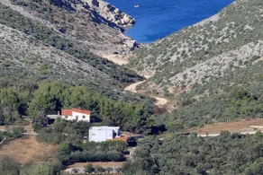 Deep dear house - Image 5
