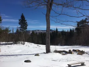 Moose Mountain Lodge - Vacation with Nature - Image 2