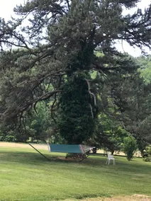 Three Springs with EV charging station - Image 4