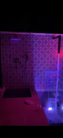 Lux Spa Retreat w/ Plunge Pool and outdoor shower - Image 4