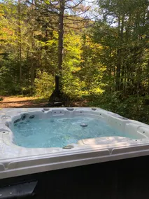 Log cabin on the banks of the Jacques Cartier River + HOT TUB - Image 2