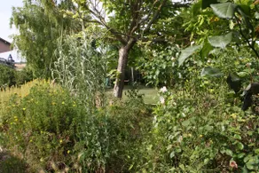 Quiet and charming house - Image 5