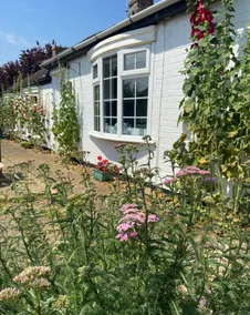 A unique hidden away Fen cottage in Whittlesey - Image 3