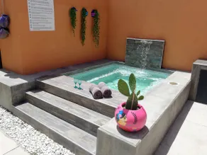 #LittleLoftChihuahua (Pool Included) - Image 2