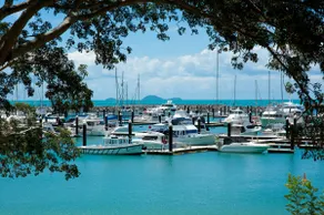 Ocean View Studio - Shingley Beach Resort - Image 2