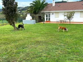 Beautiful Rural House + Pets + Beach + Mountain - Image 4