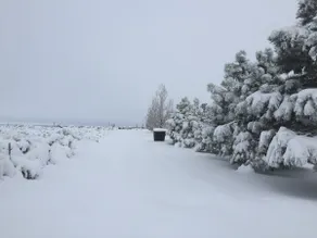 Casa Varos (Taos, New Mexico) - Image 3