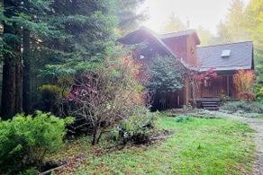 Forested Acreage*Hot Tub*Fire Pit*Minutes to Town! - Image 2