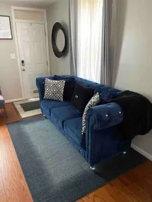 Affordable Luxury Town Home in Federal Hill Baltimore. - Image 3