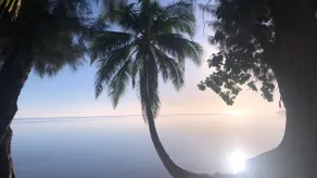 Paradise time - Image 5