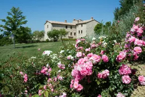 Borgo Fastelli - Image 4