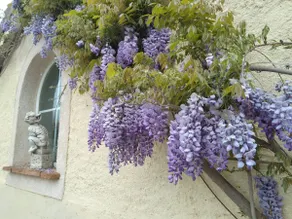 La Maison d'Engiraud - Image 2
