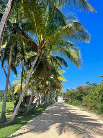 Beachfront Rustic Apt. #8 w Pool & Secluded Beach - Image 2
