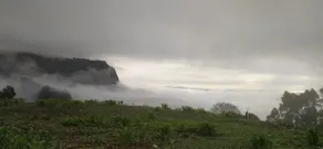 Cabana Marino - Forno Grande Oven - Image 4