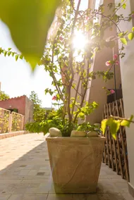 Comfy ground floor house Kourouta - Image 3
