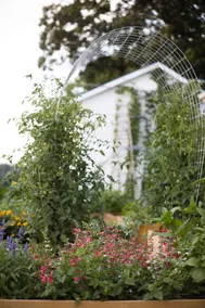 Cider House Orchard Stay - Image 5