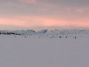 Perfect View - Image 5