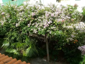 Chalé do Aconchego - Image 5