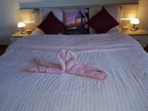 4-room apartment - view of the Alps - maintenance - Image 3