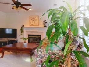 103)❣️Enjoy your comfy 3bed Home Near Ft Jackson - Image 2