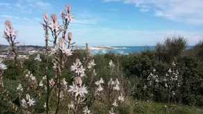 Gentile Farm - Vieste - - Image 3
