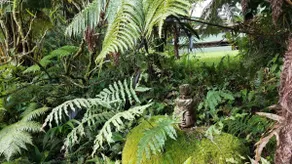 Charming Rainforest Cottage - Image 4