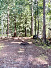 Gambrel Cabin at Lake Cushman - Image 5