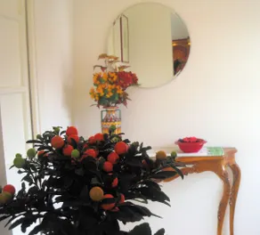 #Accommodation in the Historic Center - Image 3