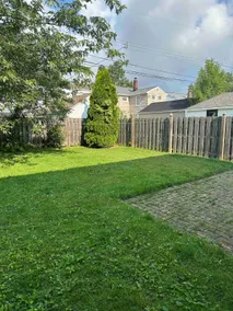 Beautiful Cozy House in Buffalo - Image 4