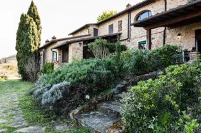 Cercis - La Palmierina - Image 2