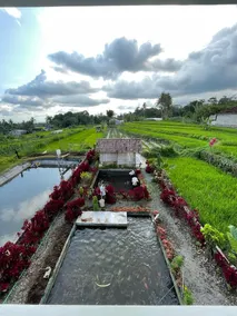 Omah Nyawang Sawah - Image 4