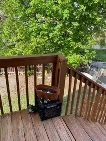 Betty's Williamsport Getaway - Image 4