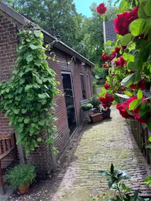 Guesthouse on estate on the Vecht - Image 2